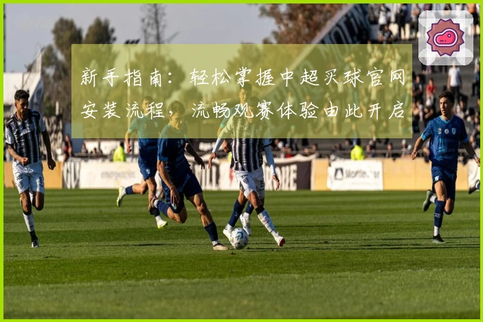 新手指南：轻松掌握中超买球官网安装流程，流畅观赛体验由此开启