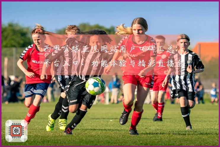 西甲买球正规网站用户口碑汇总：平台入口、功能体验与精彩直播全面解读