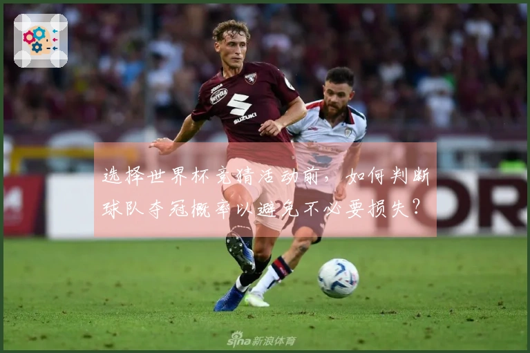选择世界杯竞猜活动前,如何判断球队夺冠概率以避免不必要损失?