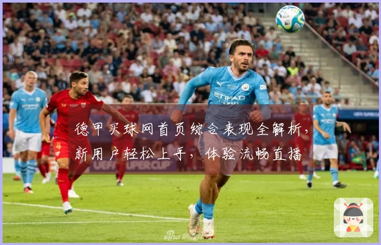 德甲买球网首页综合表现全解析，新用户轻松上手，体验流畅直播