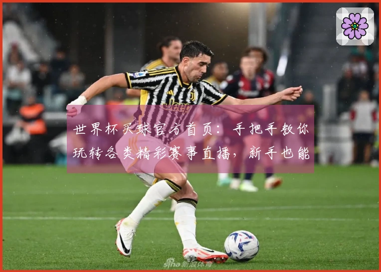 世界杯买球官方首页:手把手教你玩转各类精彩赛事直播,新手也能轻松上手!