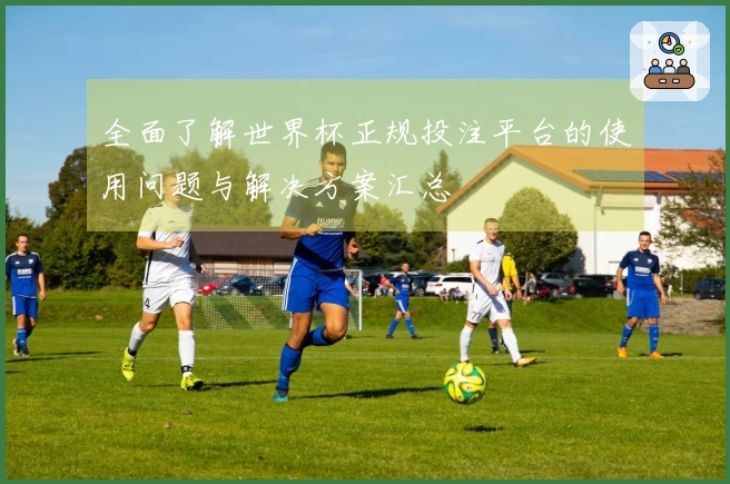 全面了解世界杯正规投注平台的使用问题与解决方案汇总